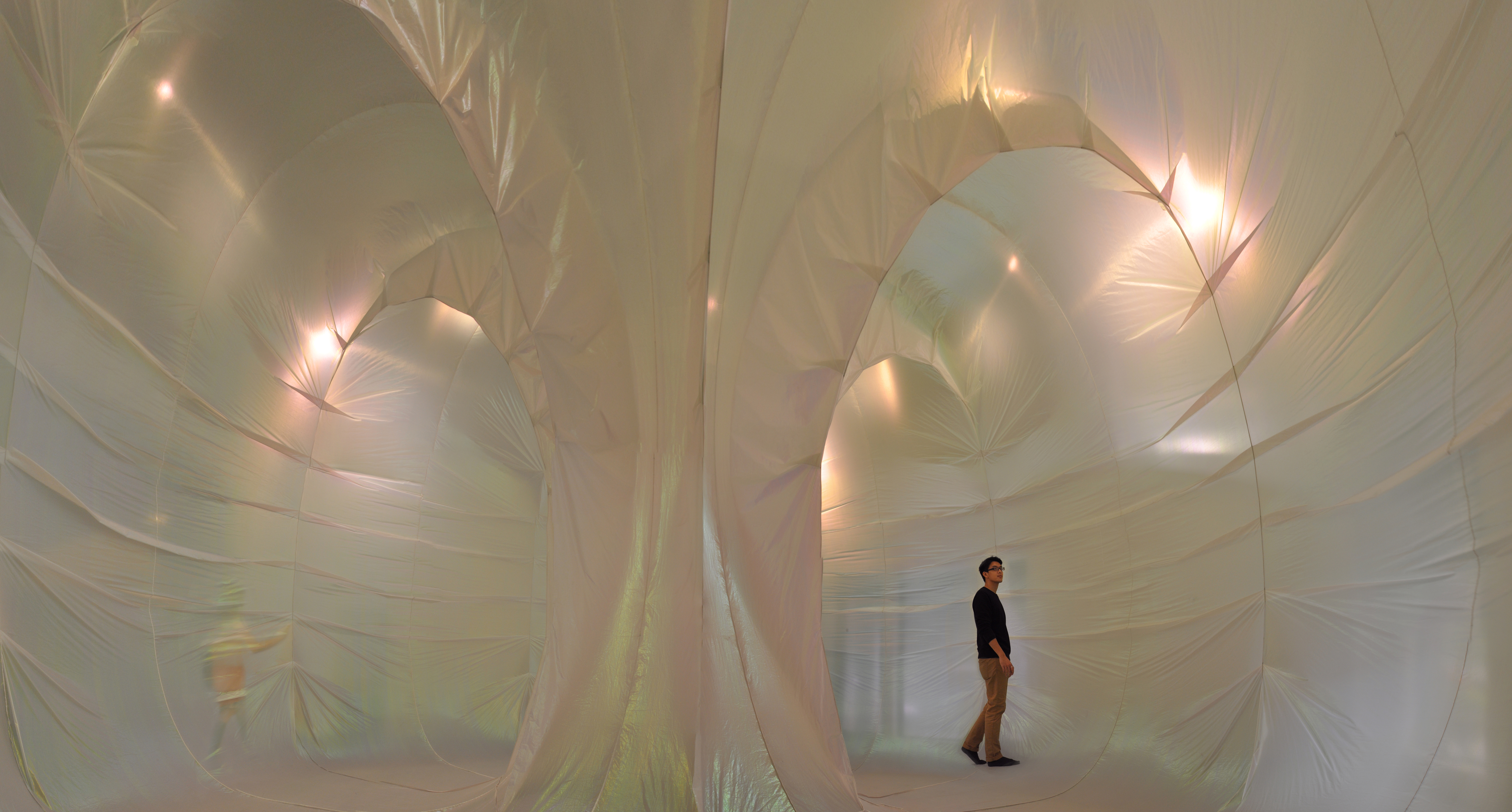 Teyu Wang · No. 72 (2013) — Air-sac installation
