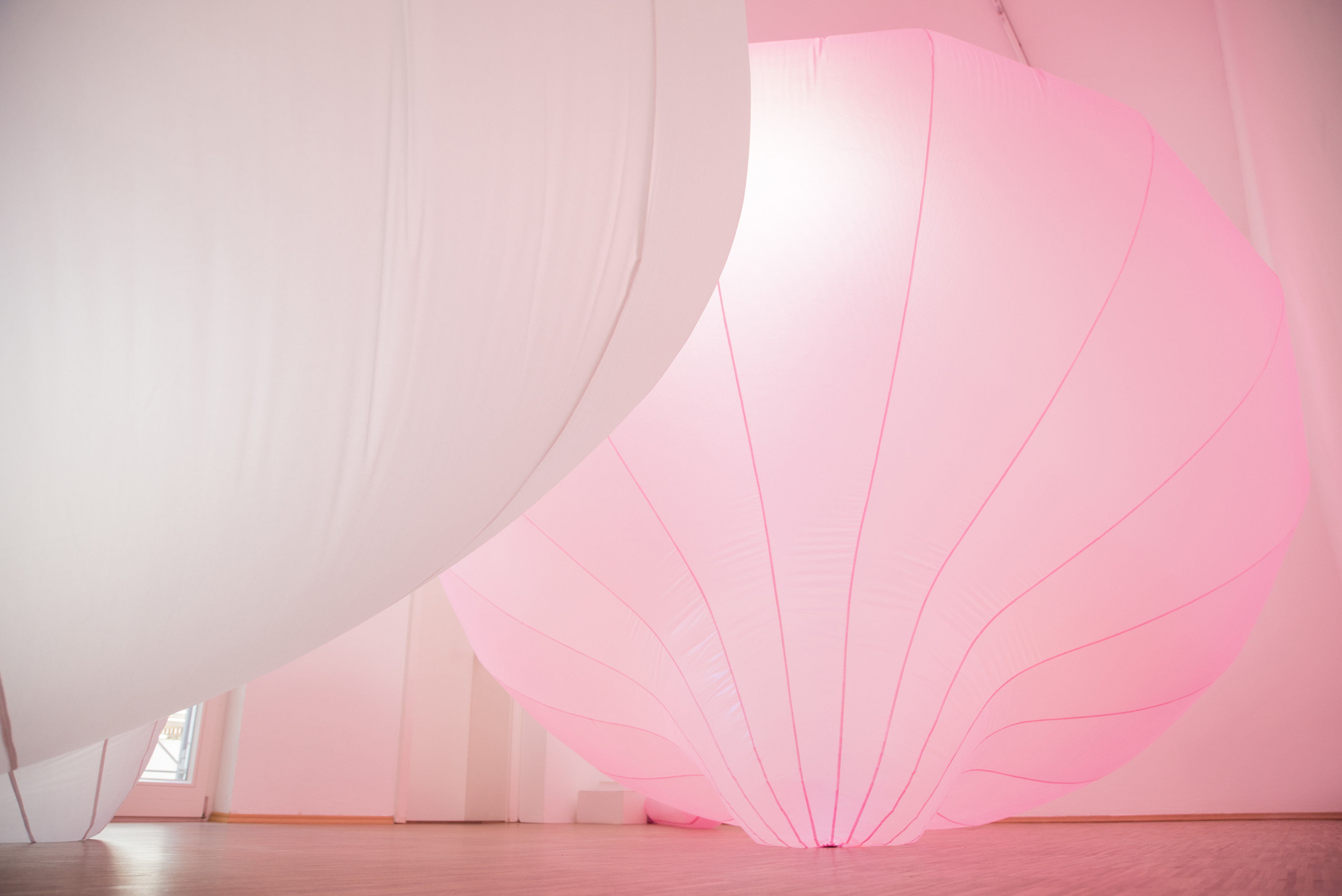 Teyu Wang · Air-sac installation, pink and white forms